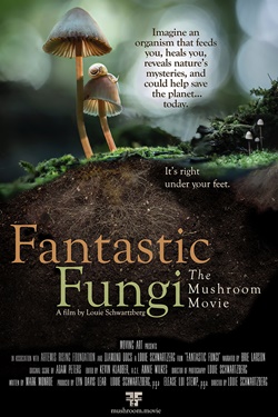 دانلود فیلم Fantastic Fungi 2019