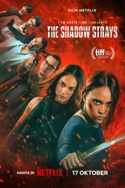 دانلود فیلم The Shadow Strays 2024